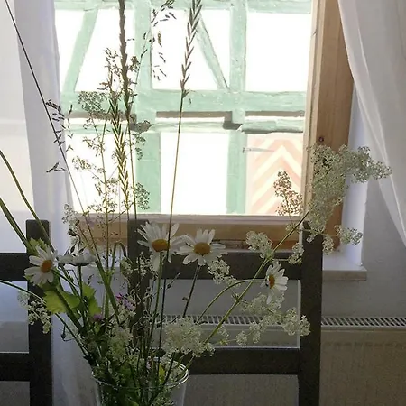 Am Alten Markt Apartment